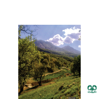 جاذبه های استان لرستان